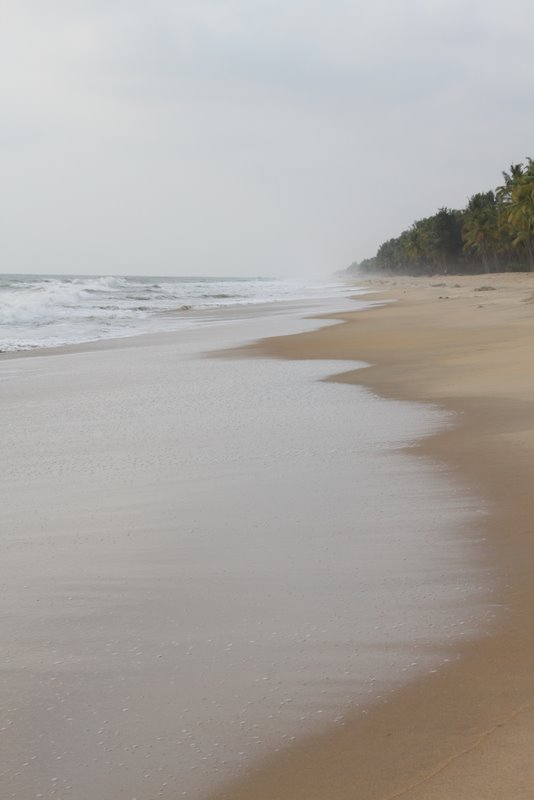 Typical Keralan beach.